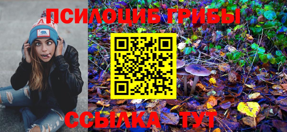 Псилоцибиновые грибы GOLDEN TEACHER  Вход с VPN  Тихорецк 